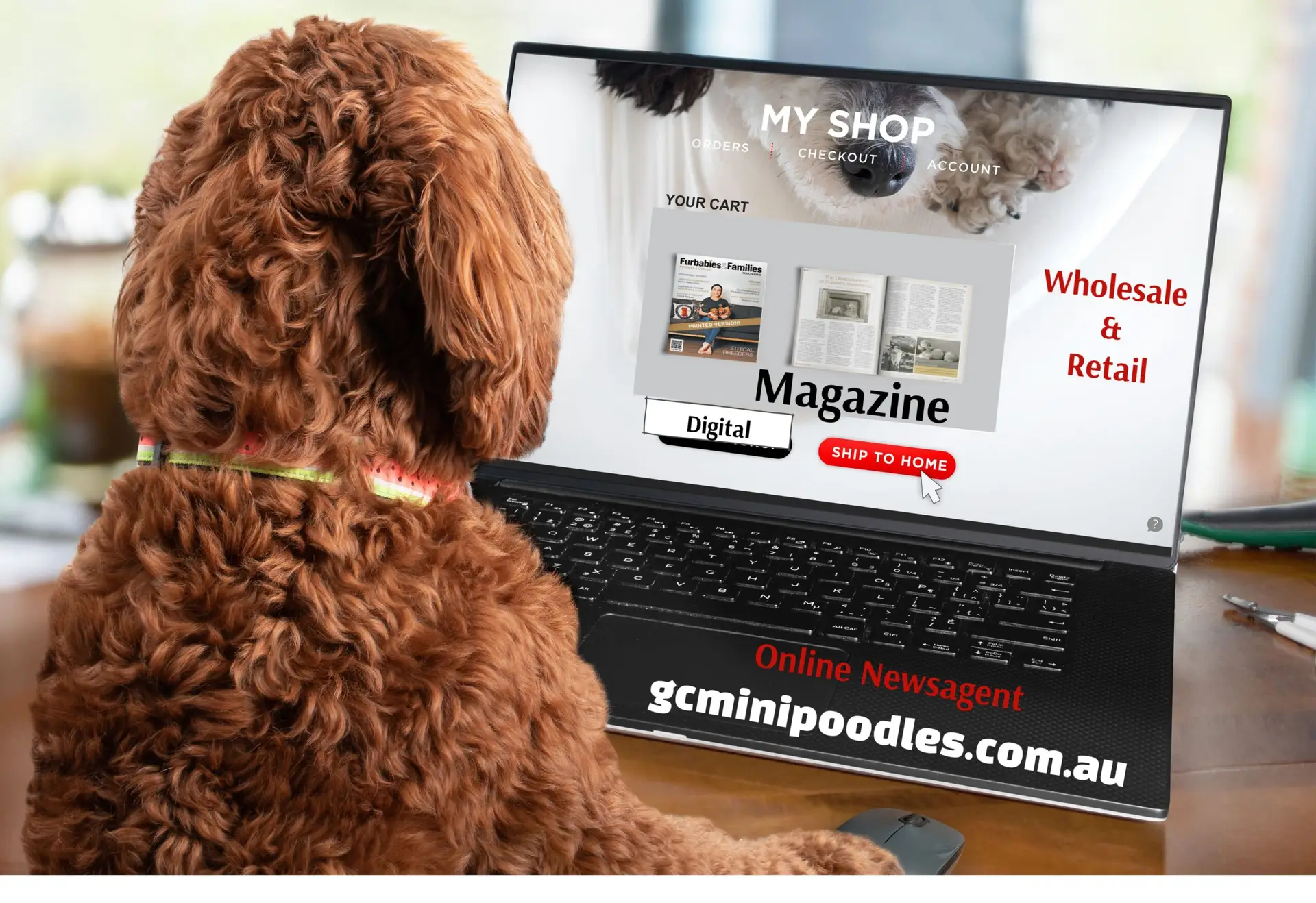 MAGAZINE Shop