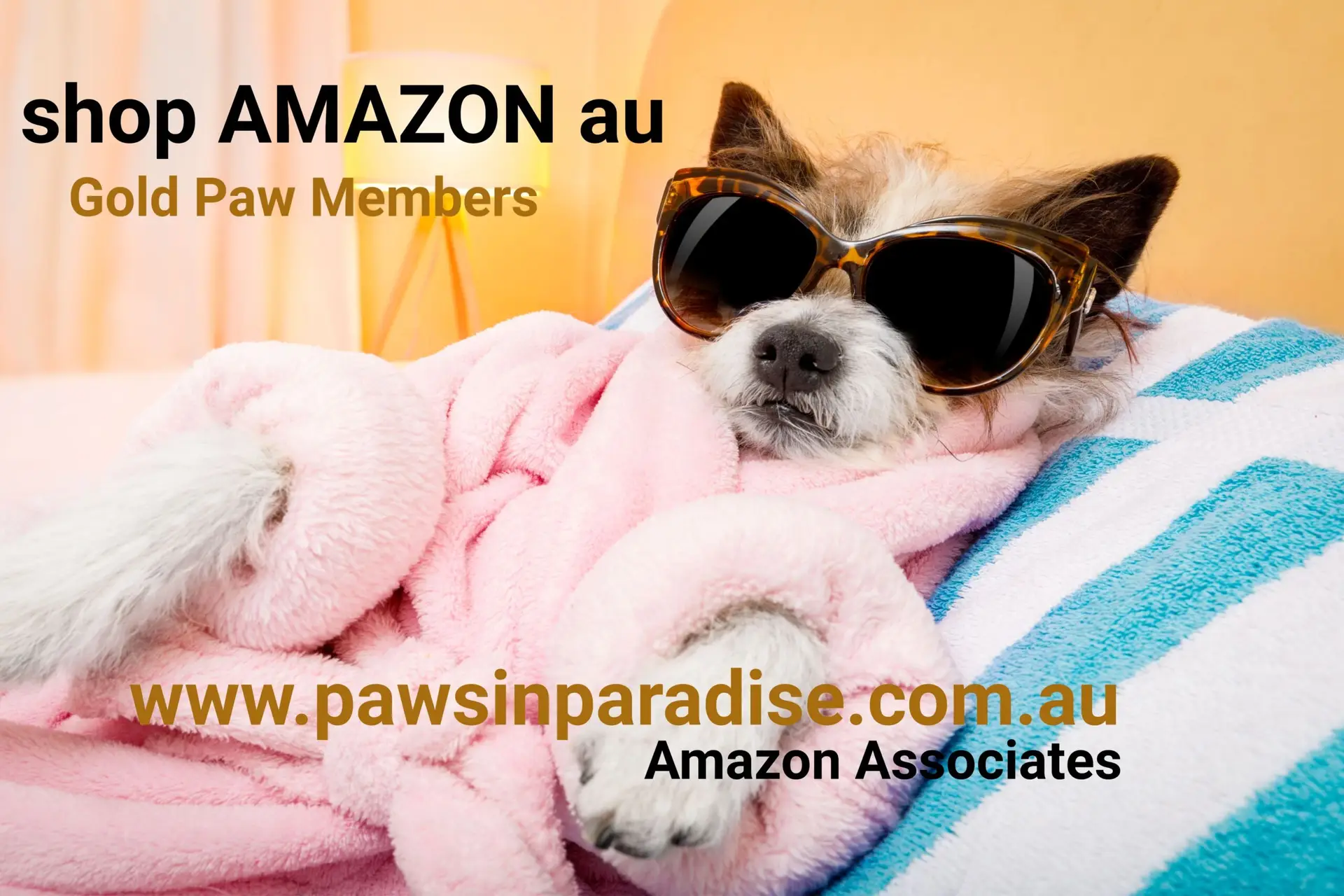 AMAZON Pet Products